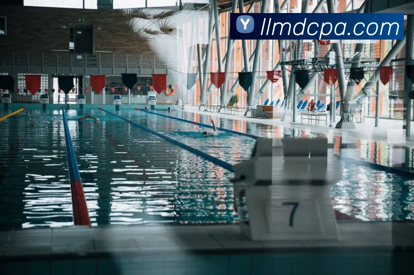 App Interface Preview